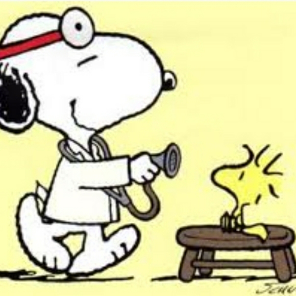 Meet your Posher, Ana paula - Picture 1 of 1